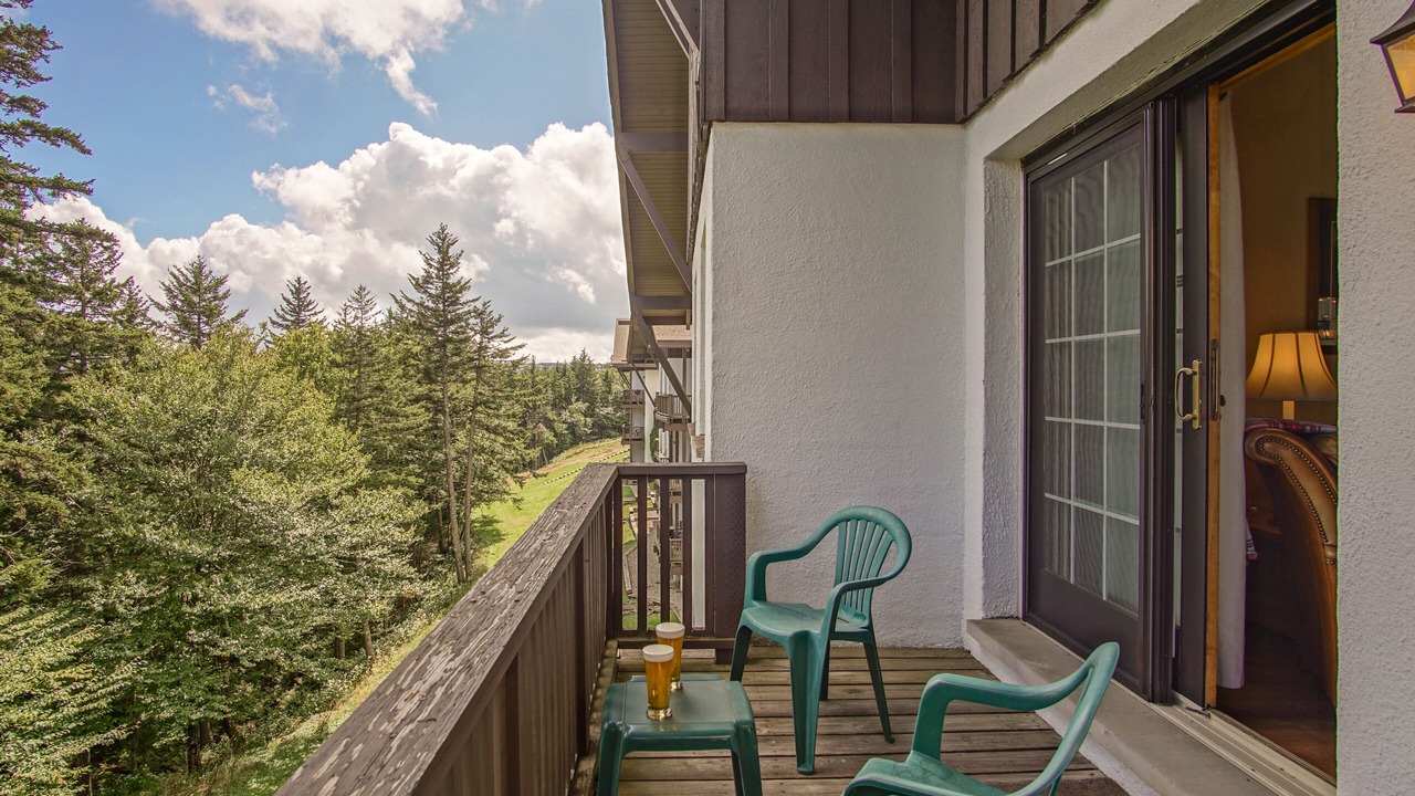 Photo of Patio Balcony in Snowshoe