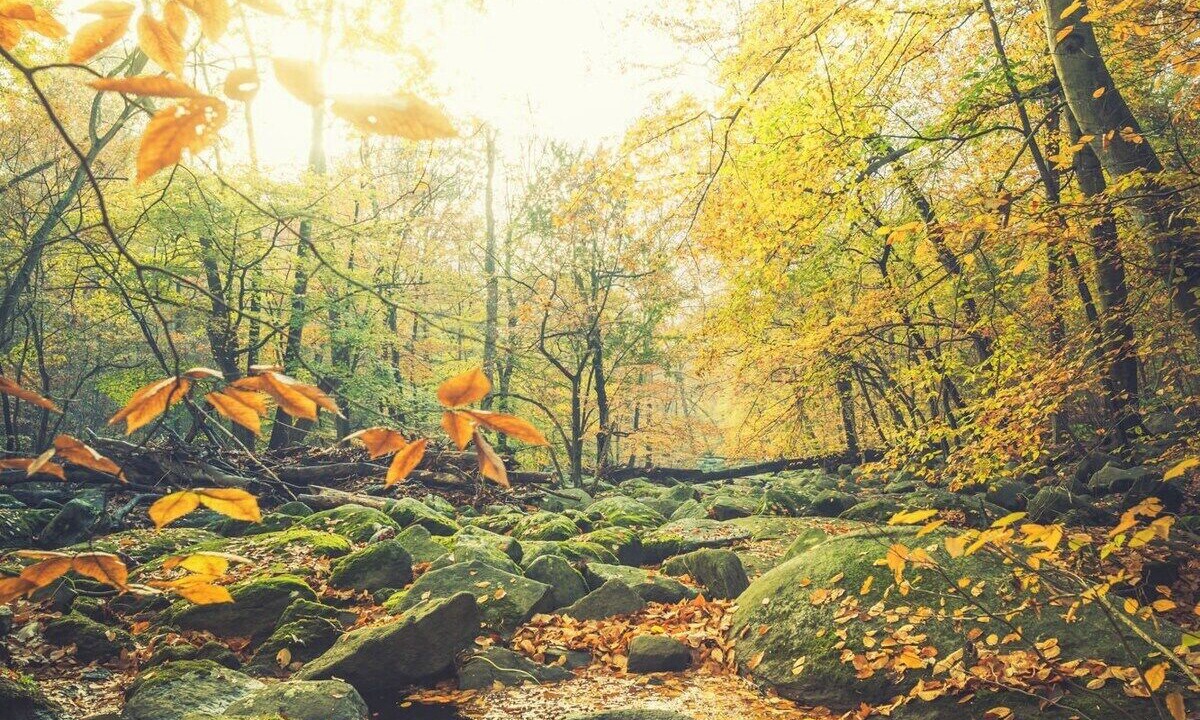 Photo of Outdoor in Ardentown