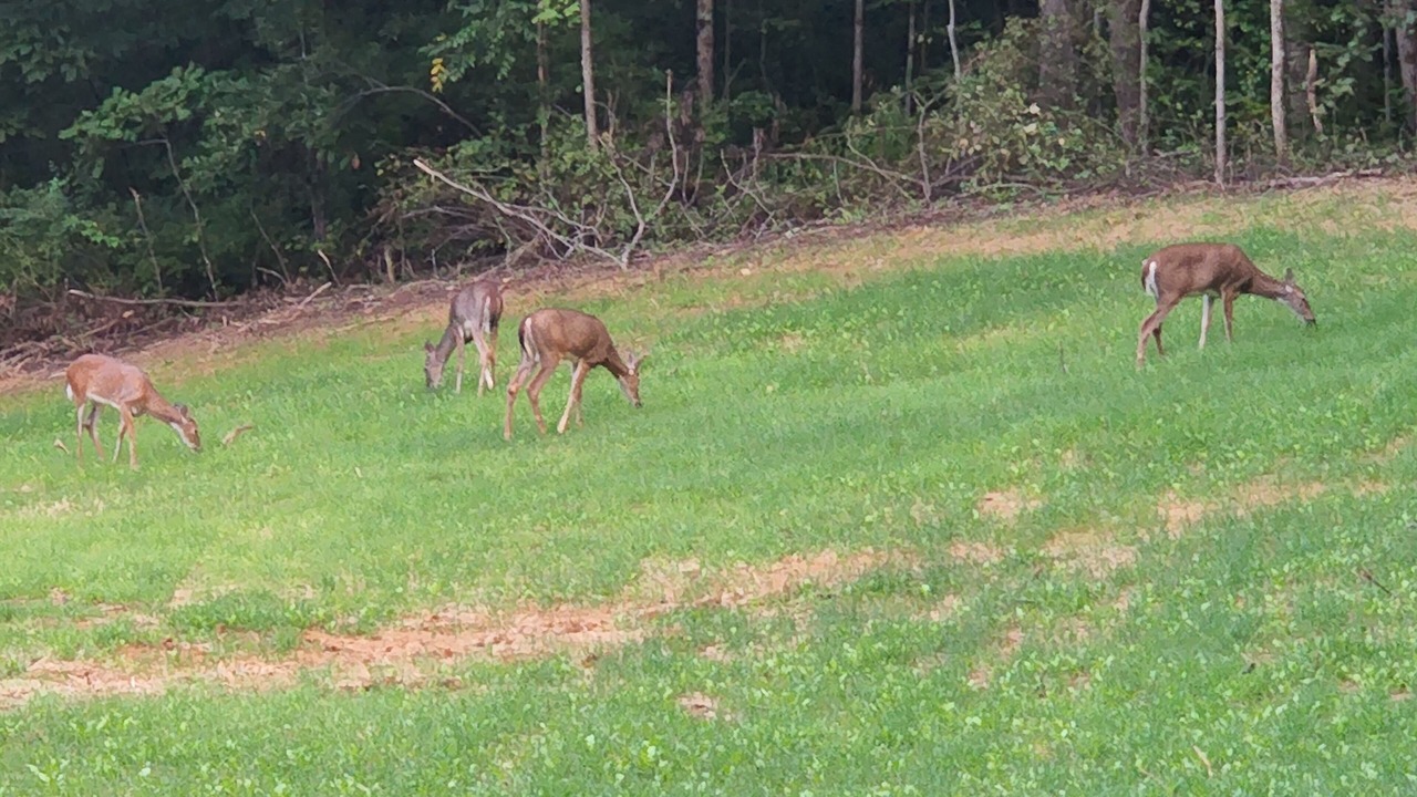 Photo of Outdoor in Nelsonville