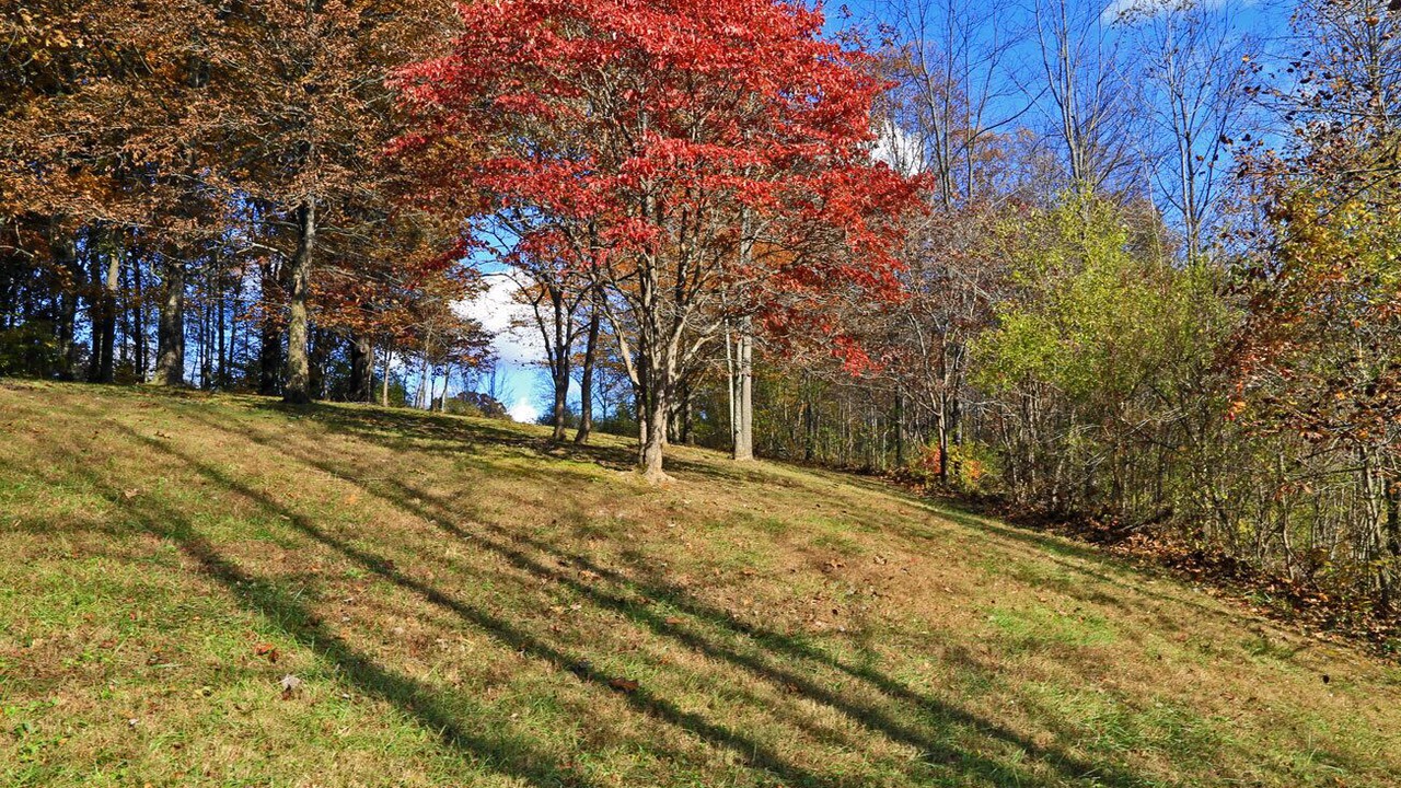 Photo of Outdoor in Nelsonville