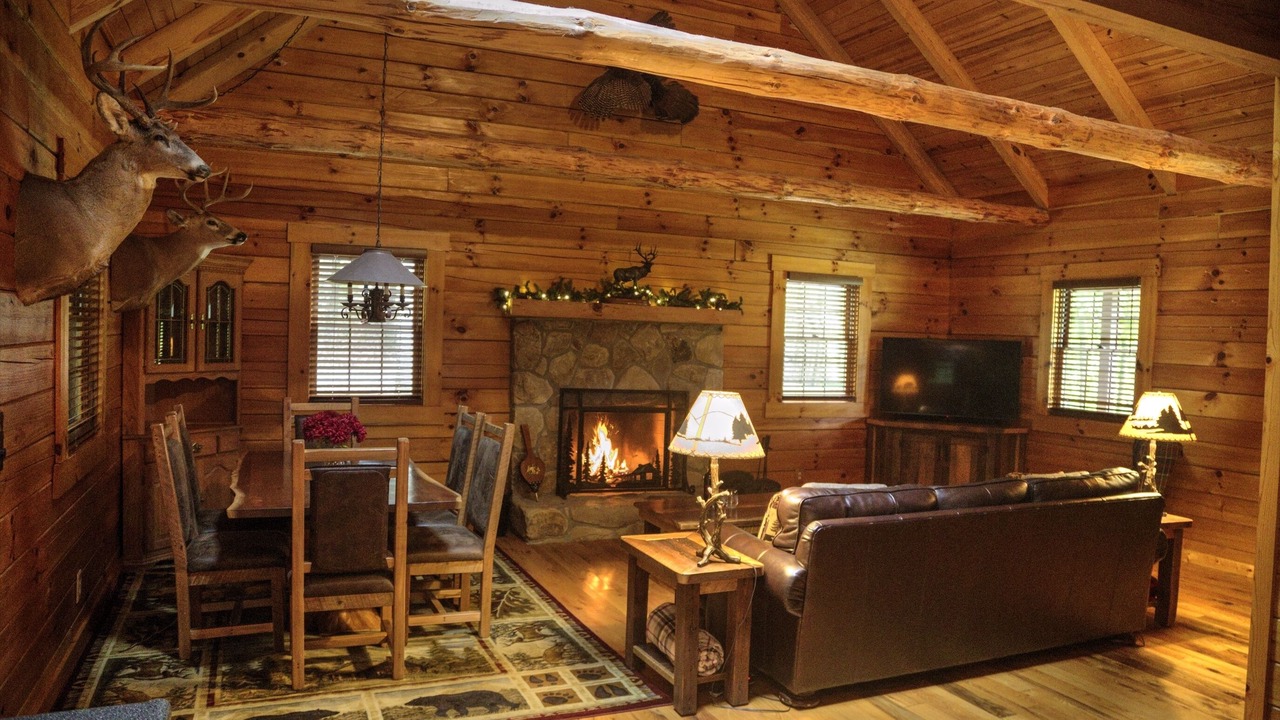 Photo of Livingroom in Nelsonville