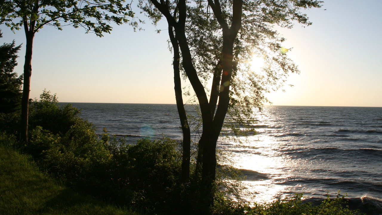 Photo of Others in East Springfield