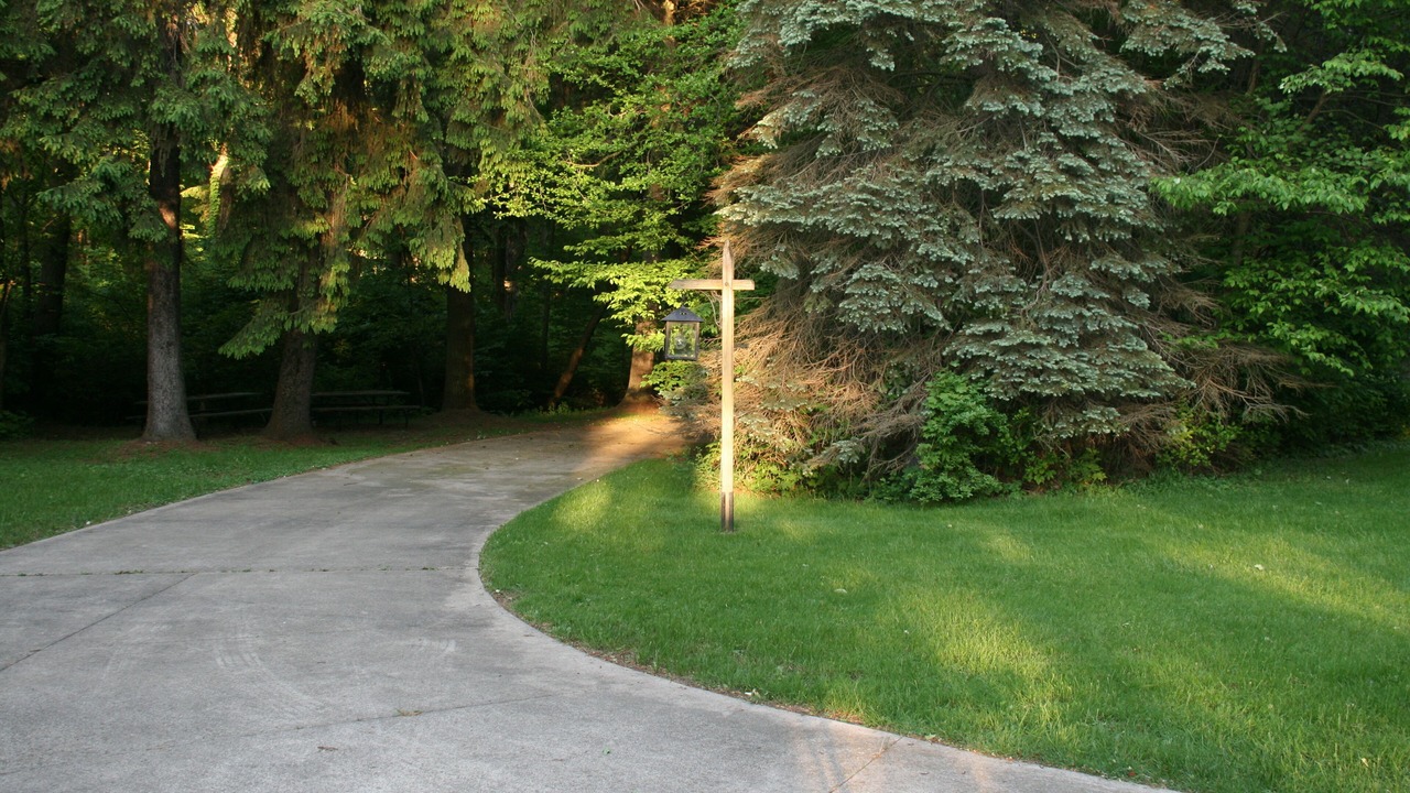 Photo of Others in East Springfield