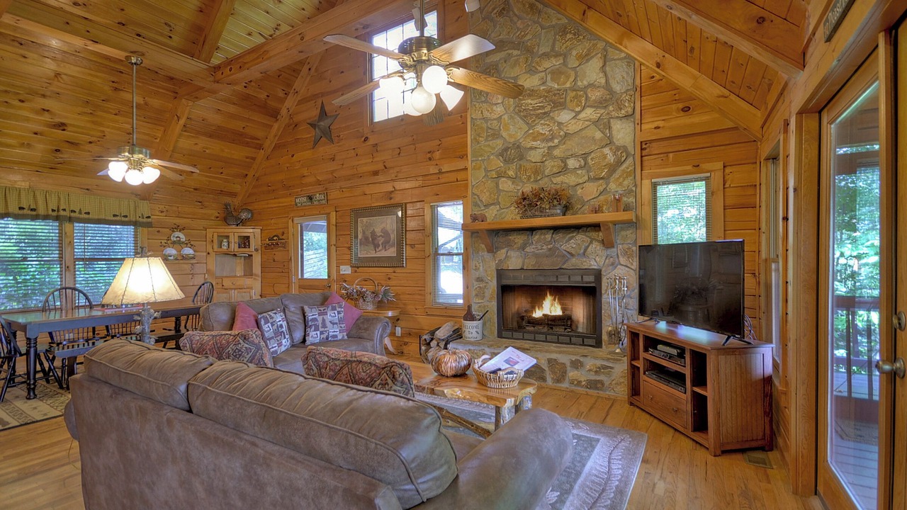 Photo of Livingroom in My Mountain