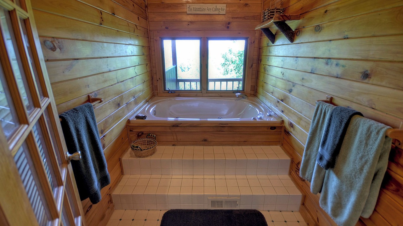 Photo of Bathroom in My Mountain
