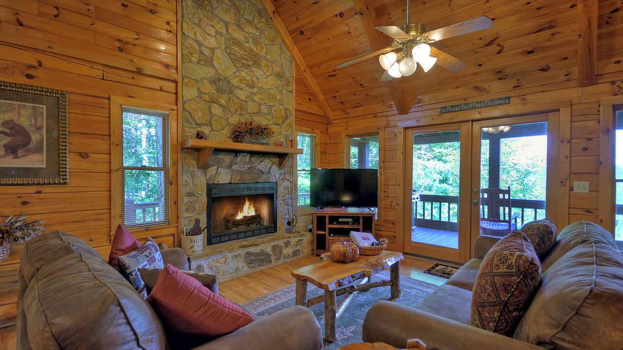 Photo of Livingroom in My Mountain