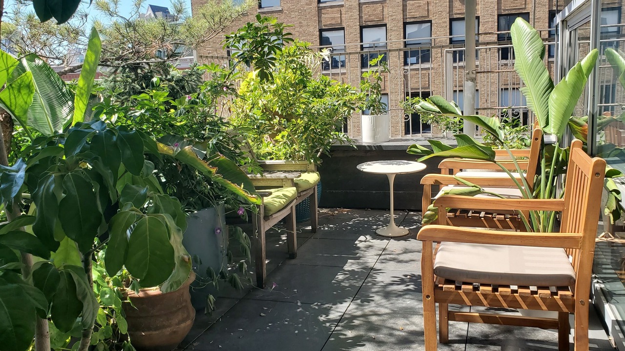 Photo of Outdoor in SoHo