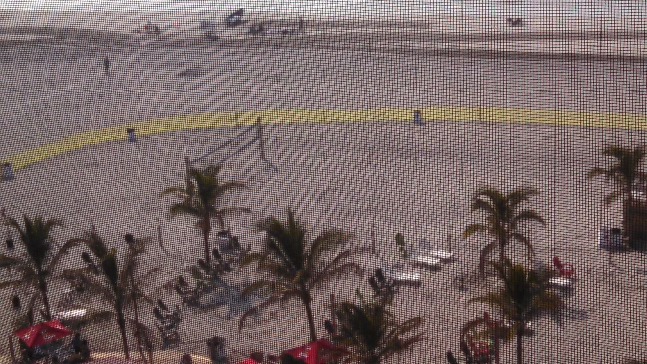 Photo of Others in A-Zone