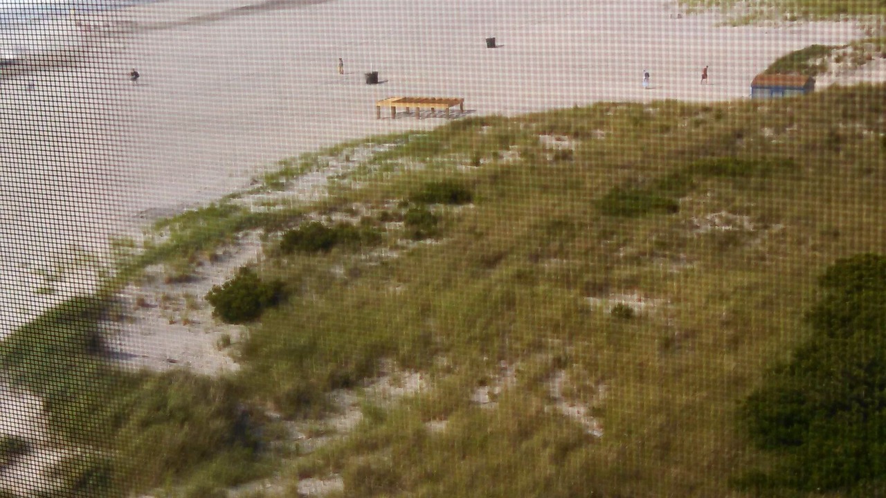 Photo of Others in A-Zone