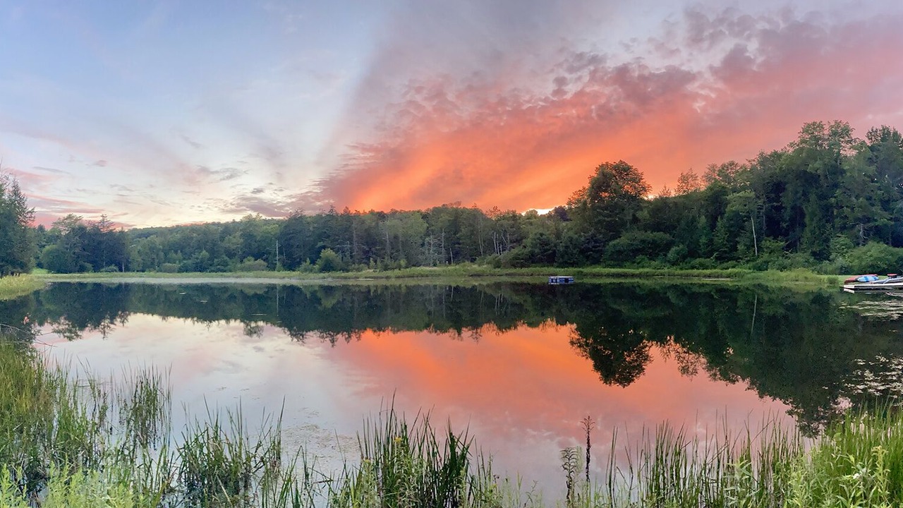 Photo of Outdoor in Long Eddy