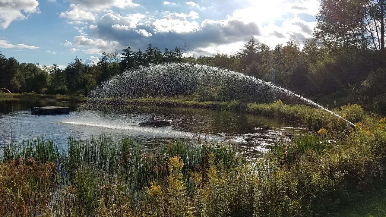Photo of Outdoor in Long Eddy