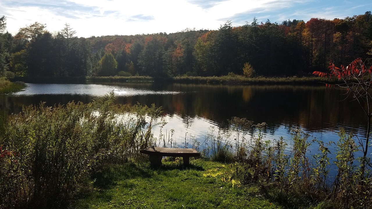 Photo of Others in Long Eddy