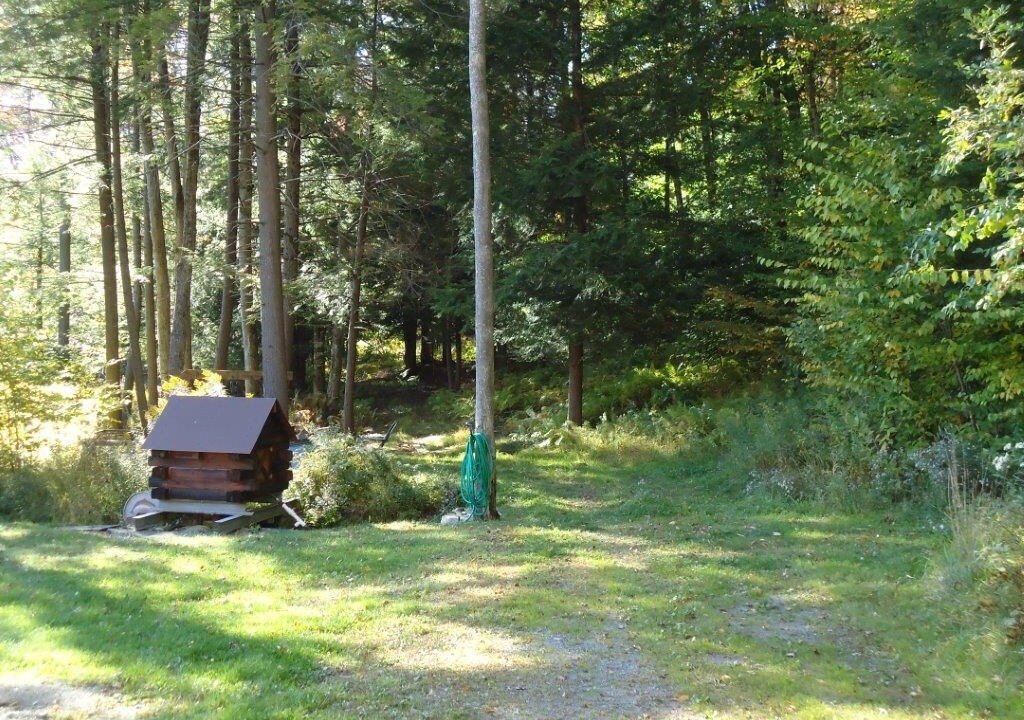Photo of Others in Long Eddy