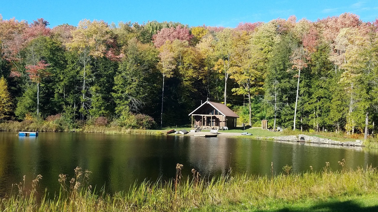 Photo of Outdoor in Long Eddy