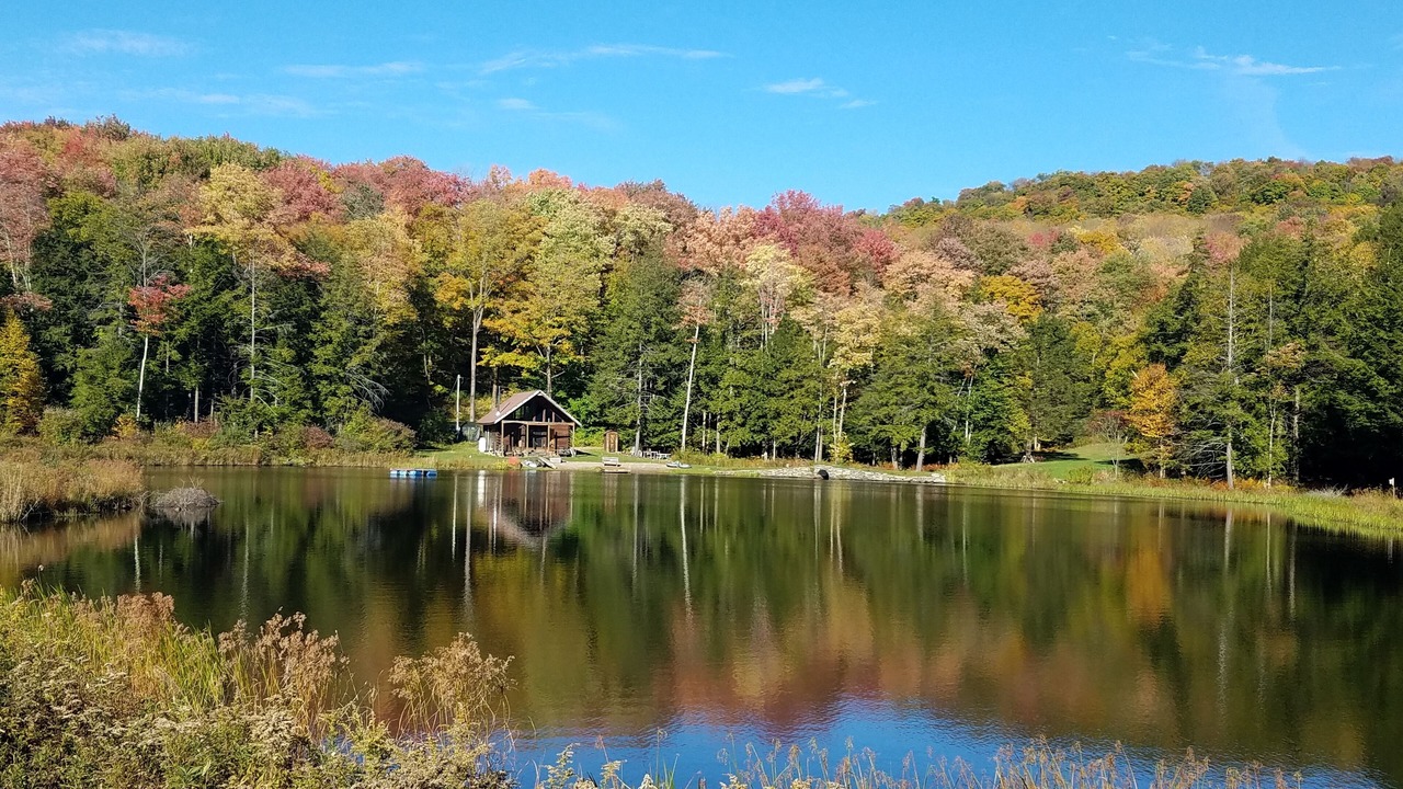 Photo of Outdoor in Long Eddy