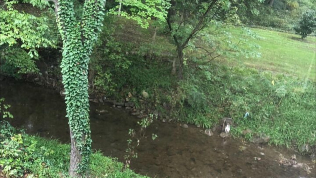 Photo of Others in Berkeley Springs