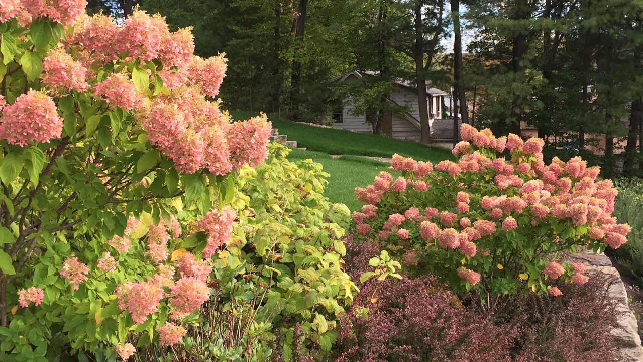 Photo of Outdoor in Shawanese