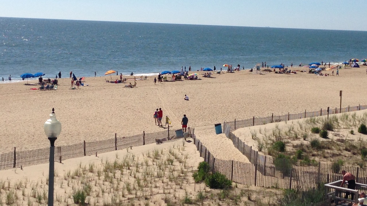 Photo of Others in South Rehoboth