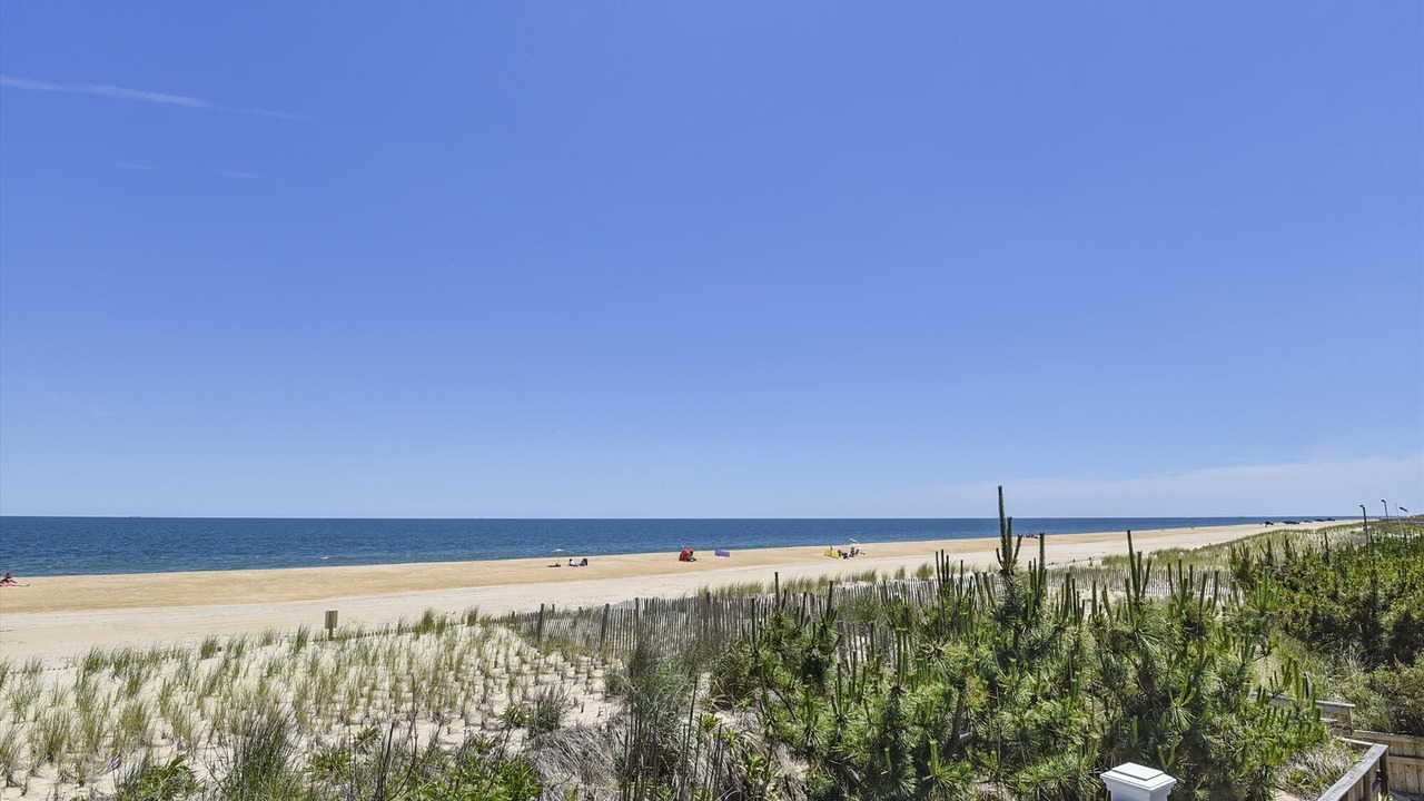 Photo of Others in Fenwick Island