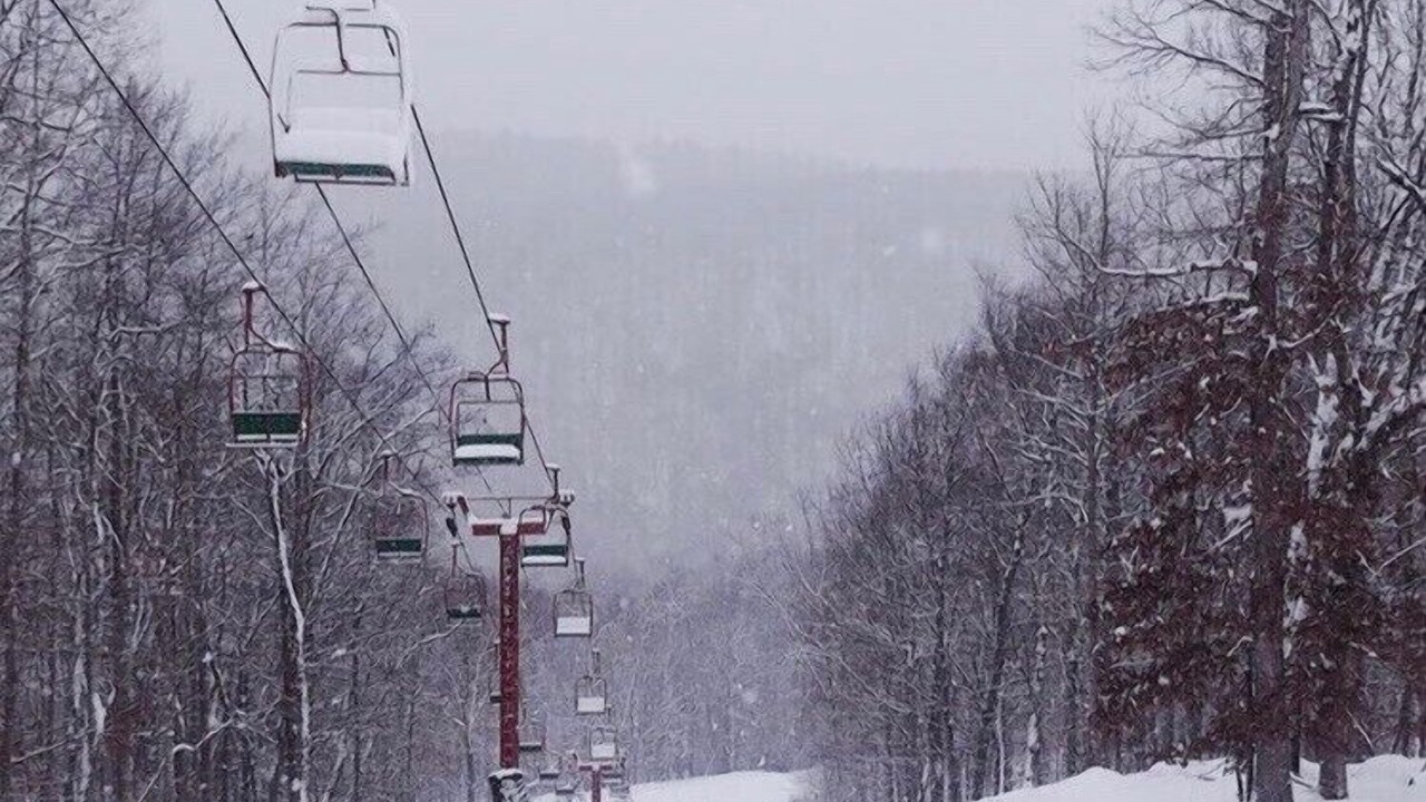 Photo of Others in Lackawaxen
