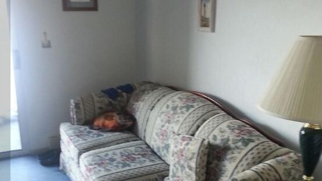 Photo of Bedroom in Oak Harbor