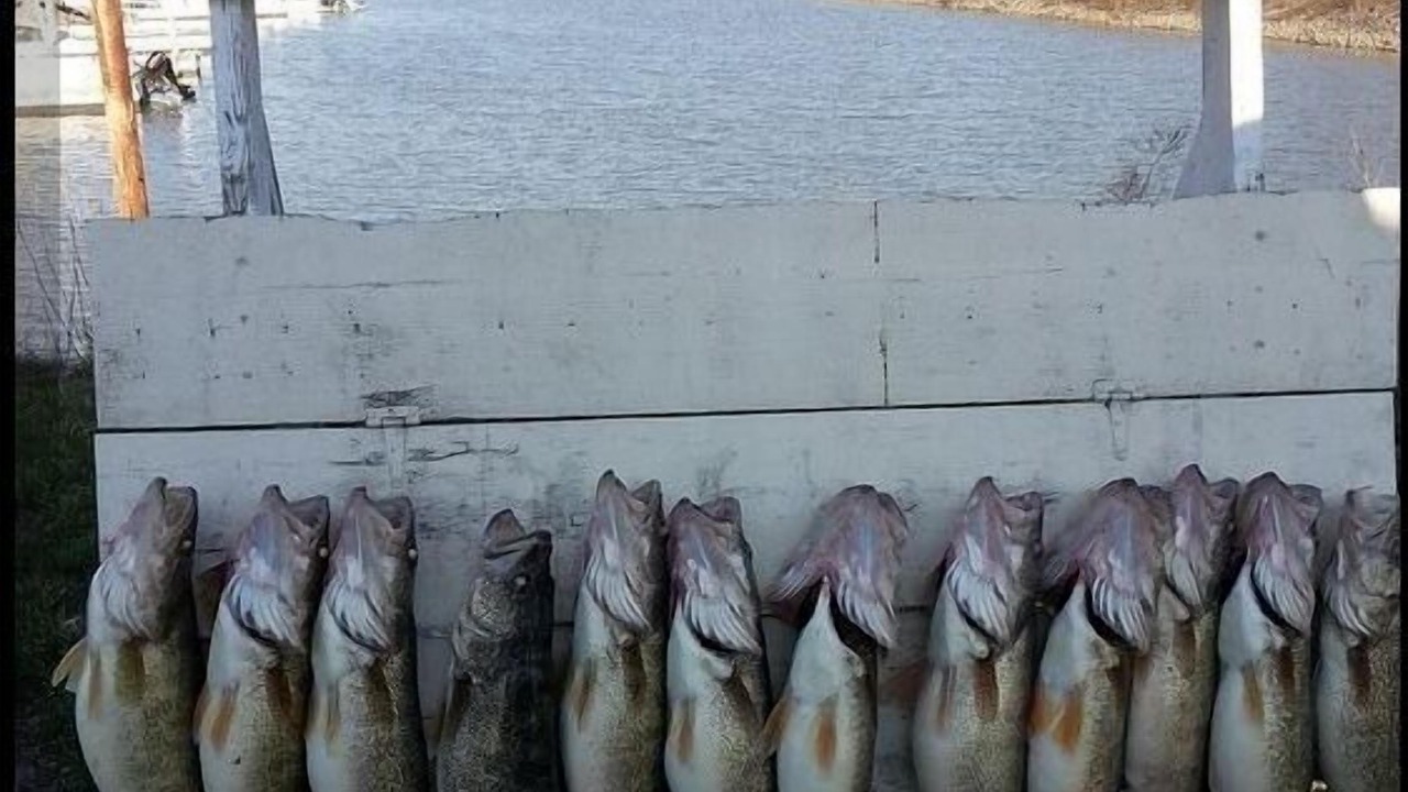 Photo of Others in Oak Harbor