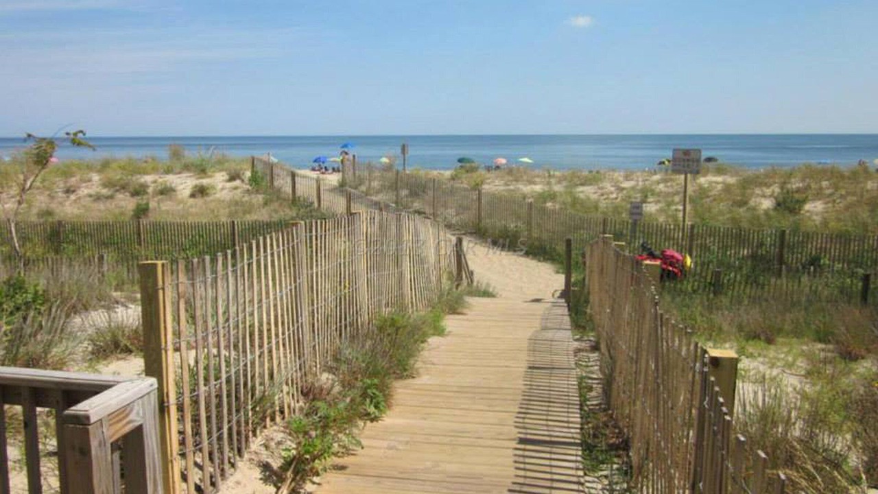 Photo of Others in North Ocean City