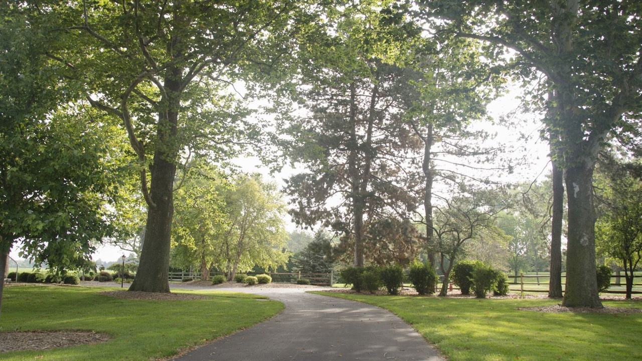 Photo of Others in Sandusky