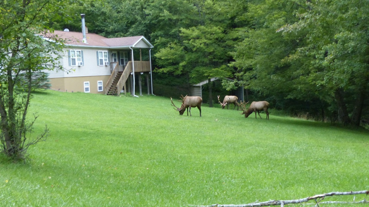 Photo of Outdoor in Weedville
