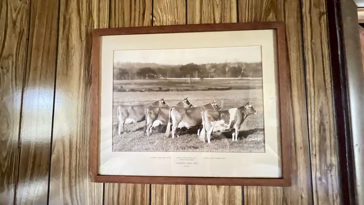 Photo of Others in Mongaup Valley