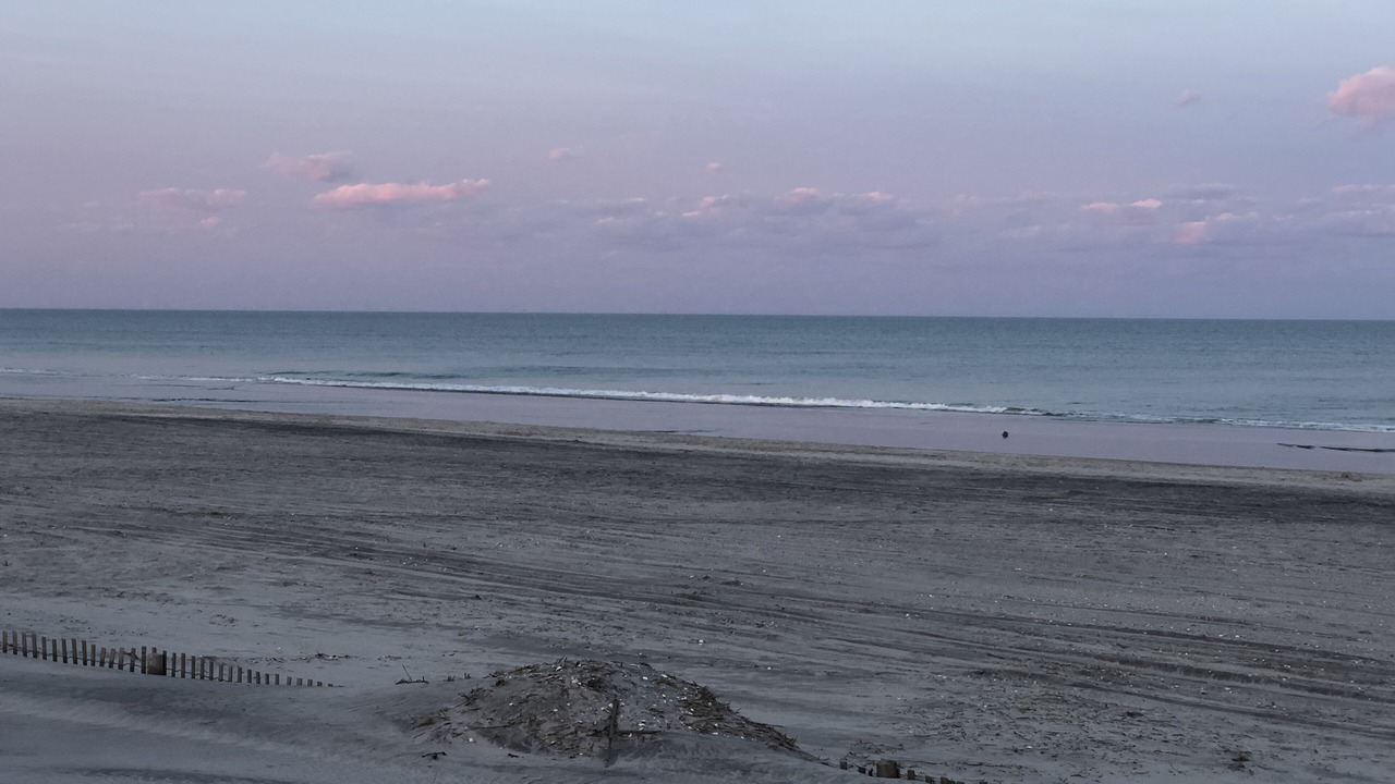 Photo of Others in Brigantine
