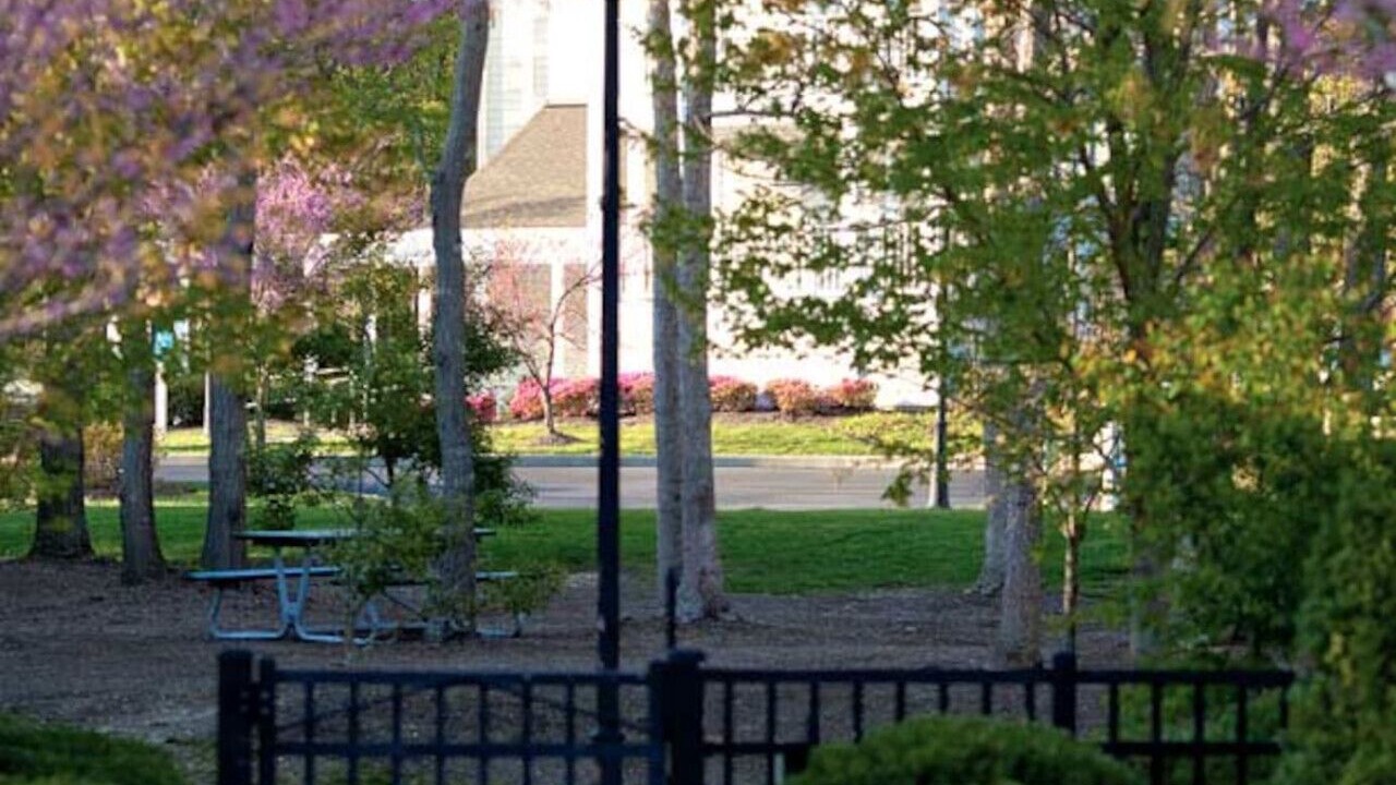 Photo of Outdoor in Galloway