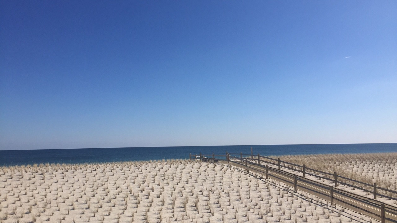 Photo of Others in Ocean Beach III