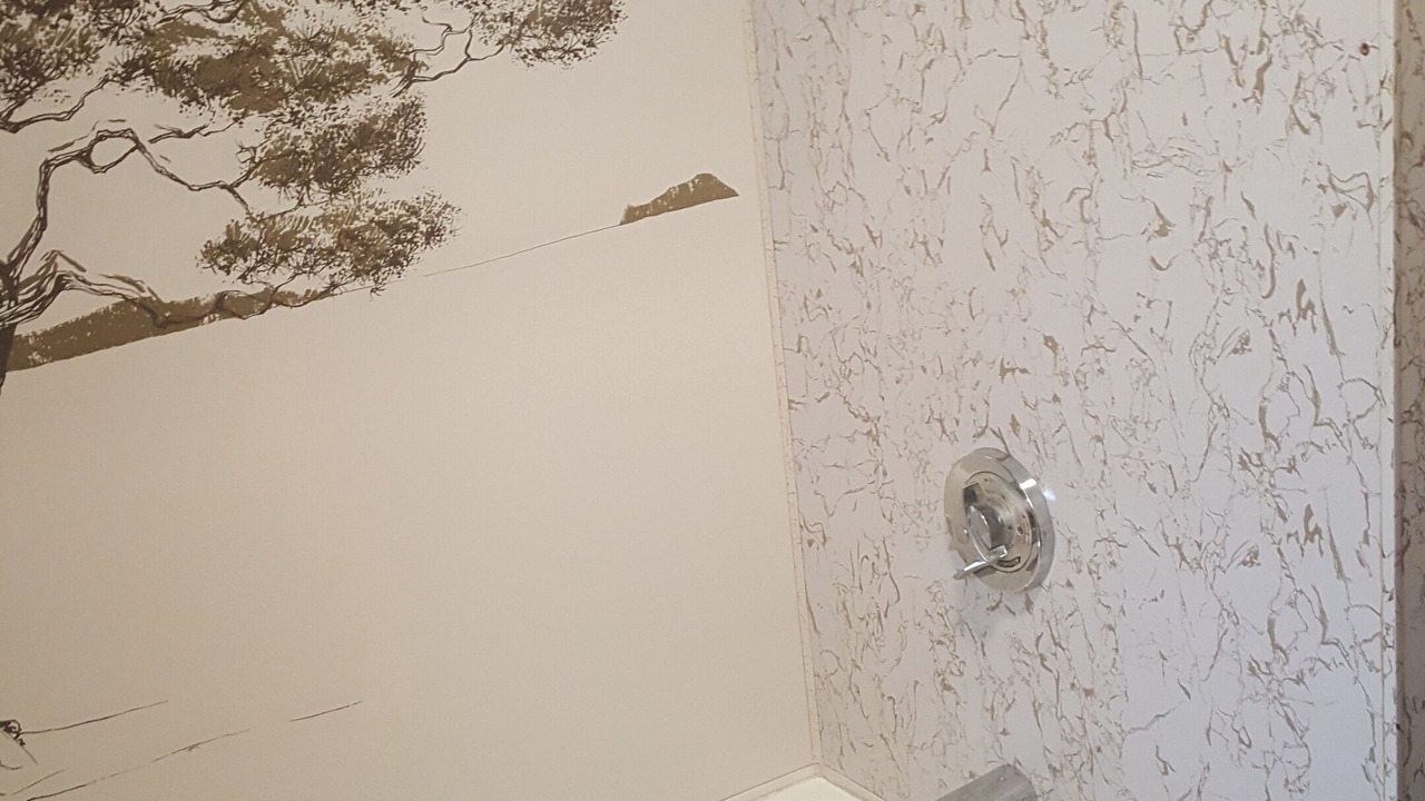 Photo of Bathroom in Homerville
