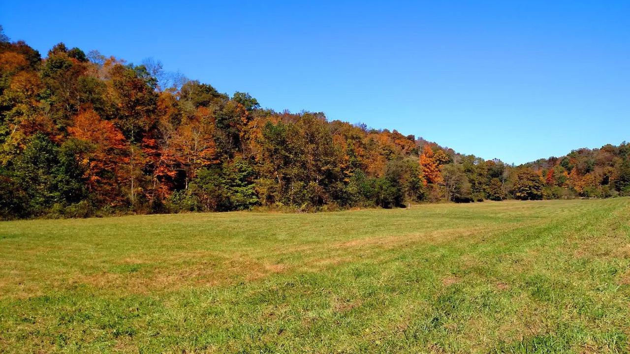 Photo of Outdoor in McArthur