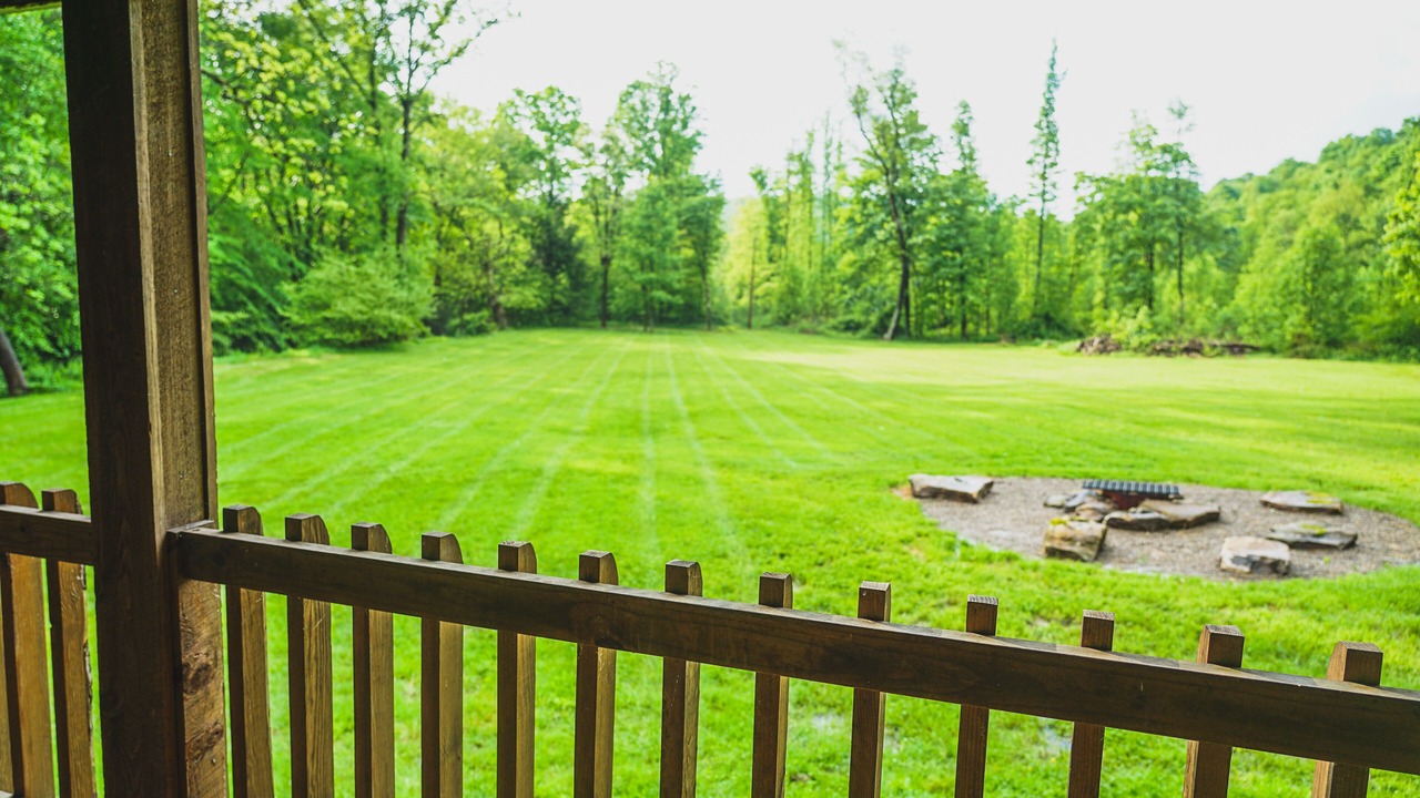 Photo of Outdoor in Mill Run