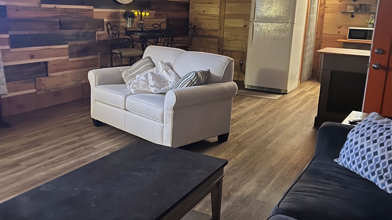 Photo of Livingroom in Lone Mountain