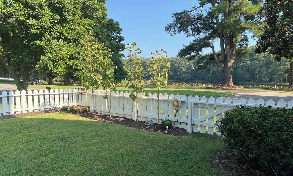 Photo of Outdoor in Locustville