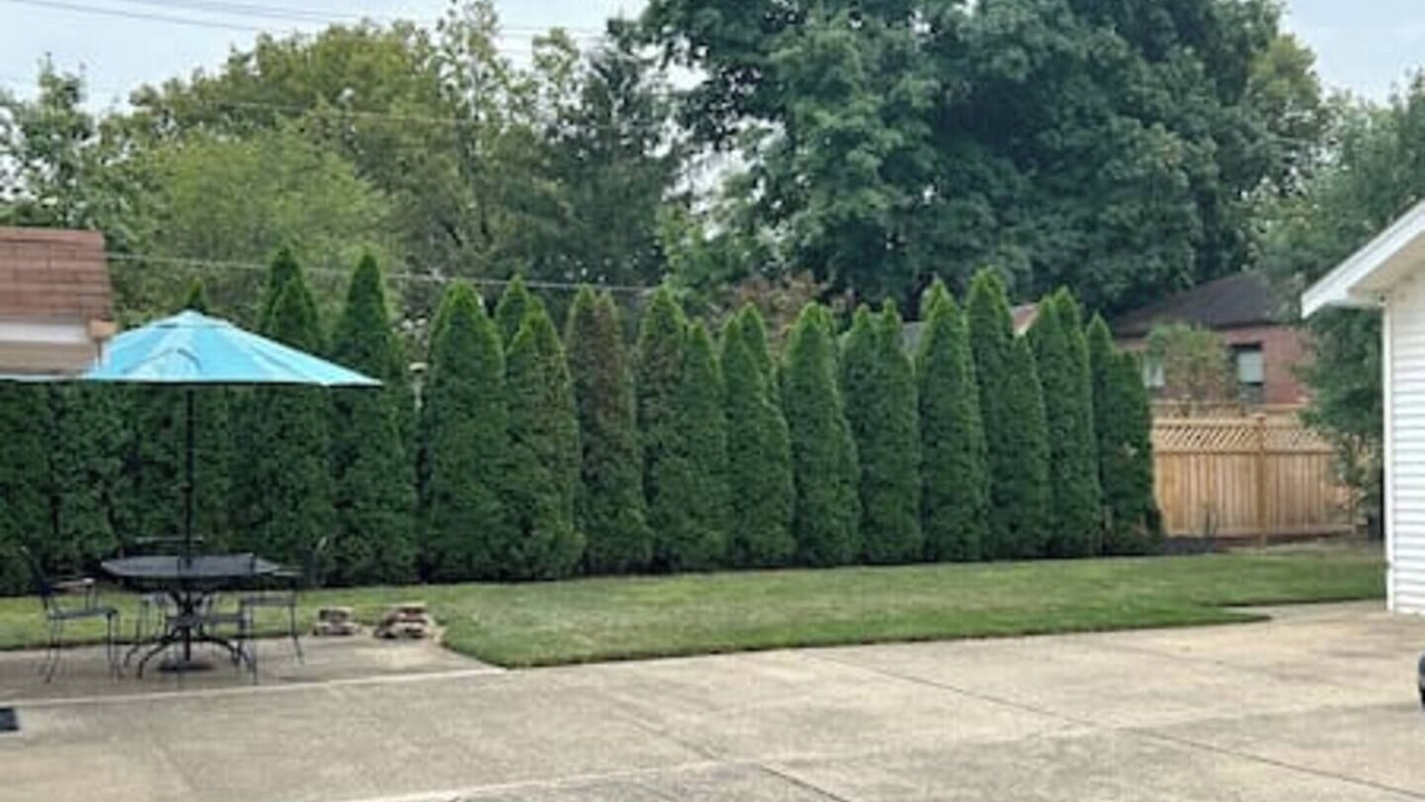 Photo of Outdoor in Milford