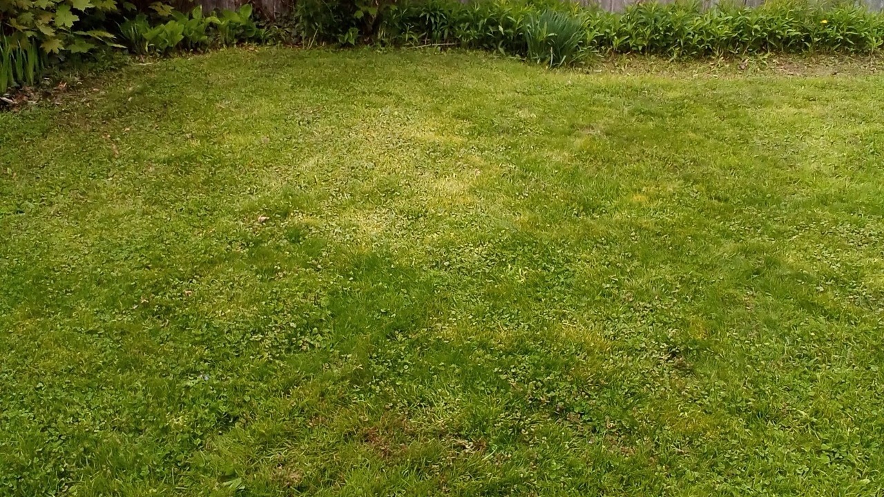 Photo of Outdoor in Erie
