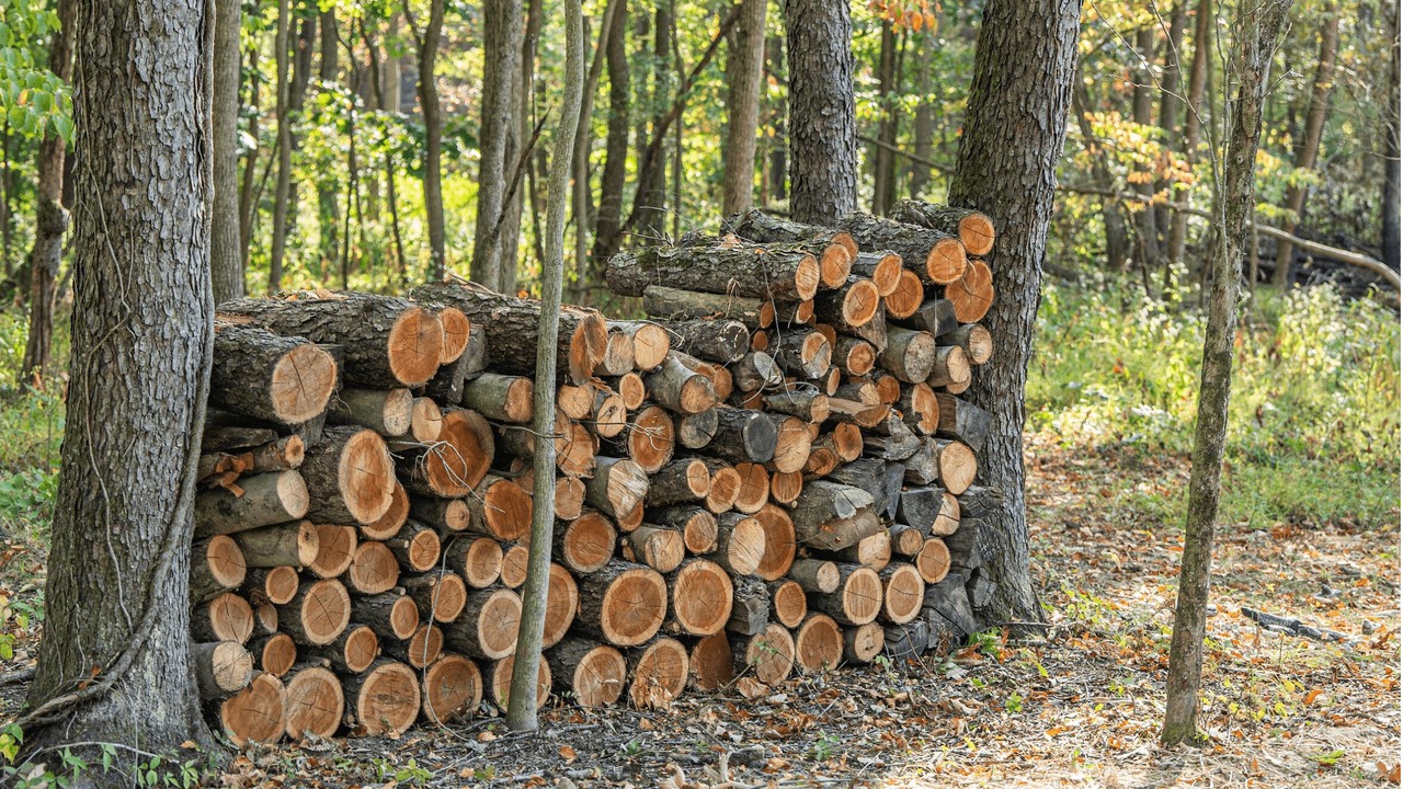 Photo of Others in Sugarcreek