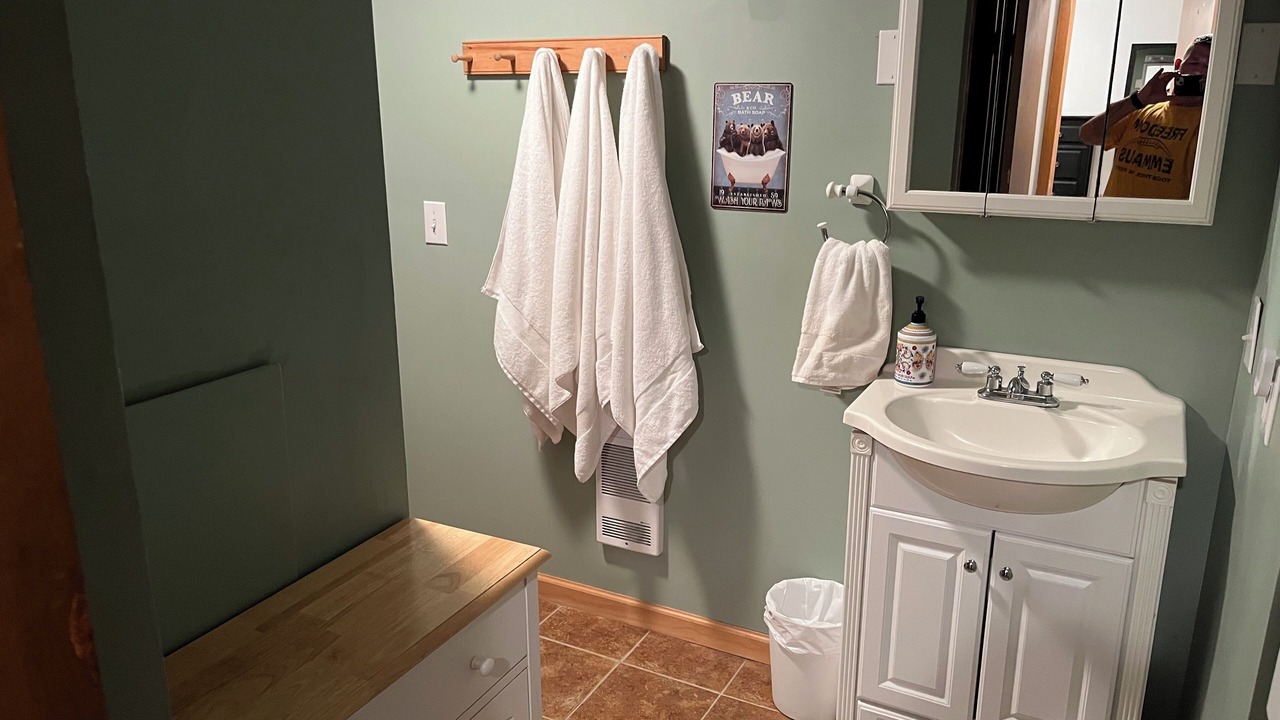 Photo of Bathroom in Lake Ariel