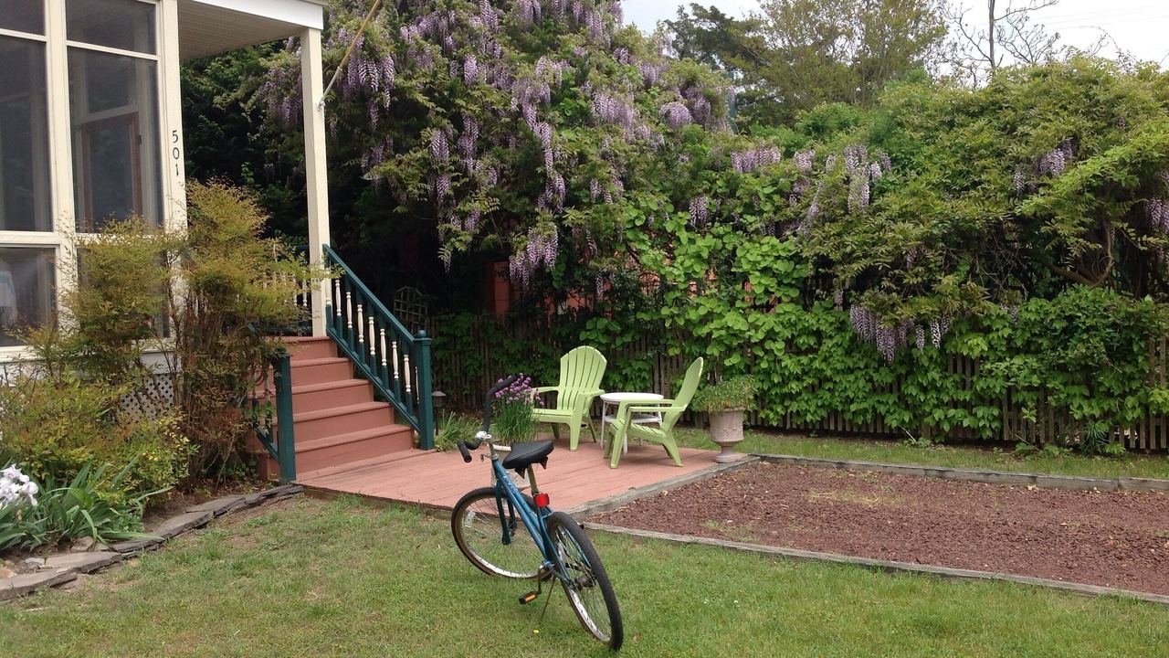 Photo of Outdoor in Cape May Point