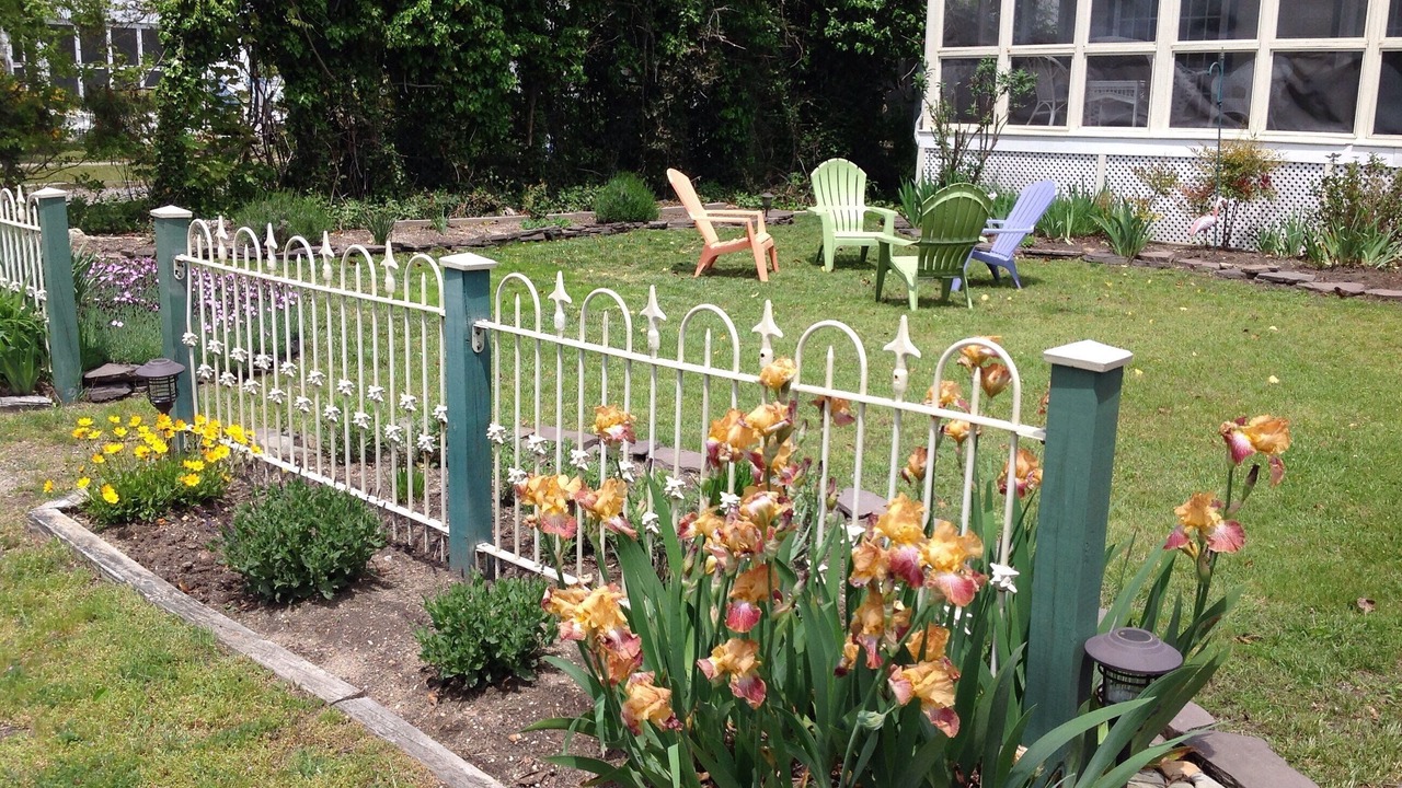 Photo of Outdoor in Cape May Point