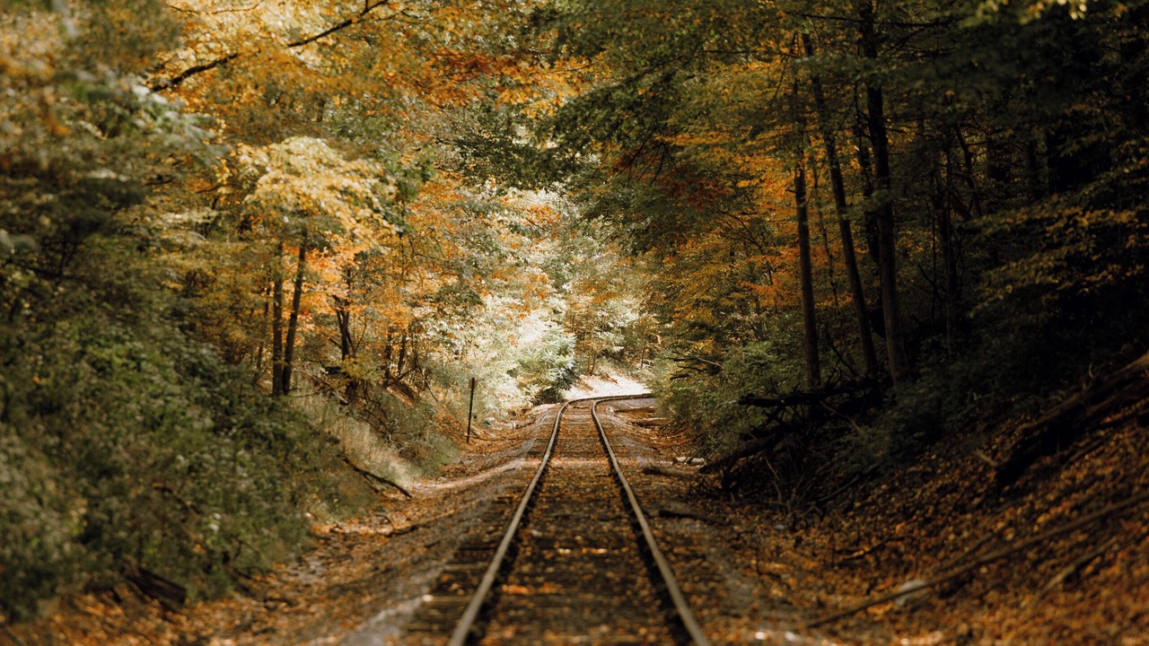 Photo of Others in Spring Creek