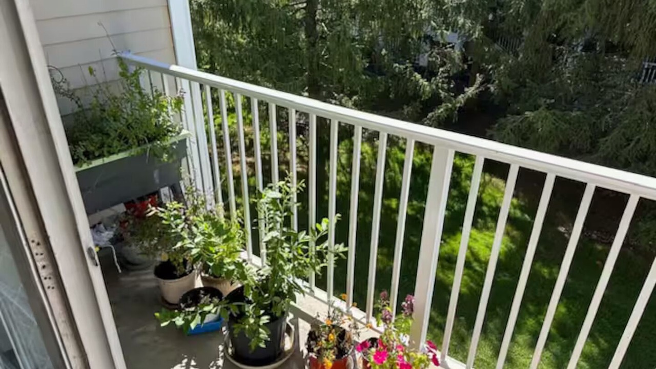 Photo of Outdoor in Belle Mead