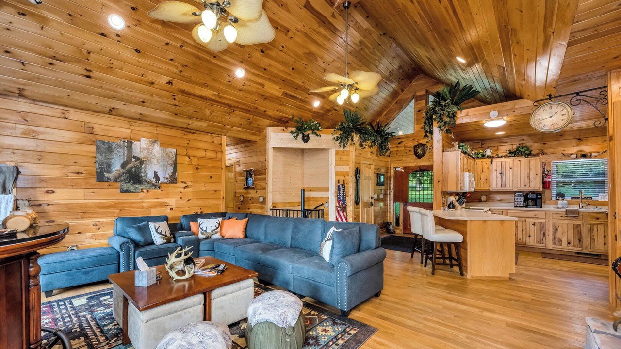 Photo of Livingroom in Grassy Creek