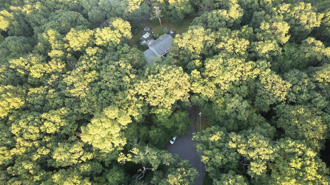 Photo of Outdoor in Bushkill