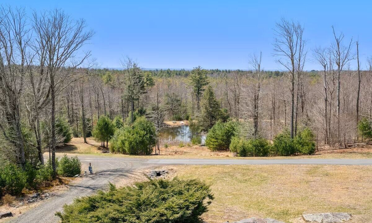 Photo of Others in Ellenville