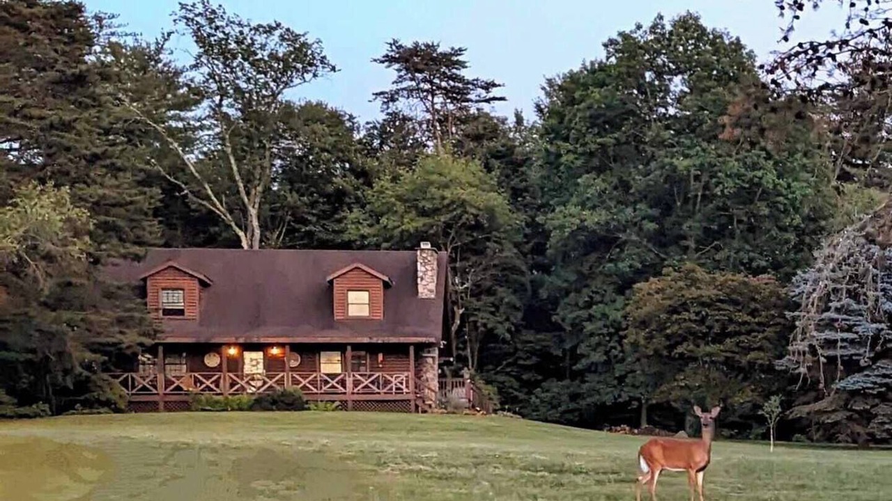 Photo of Outdoor in Nescopeck